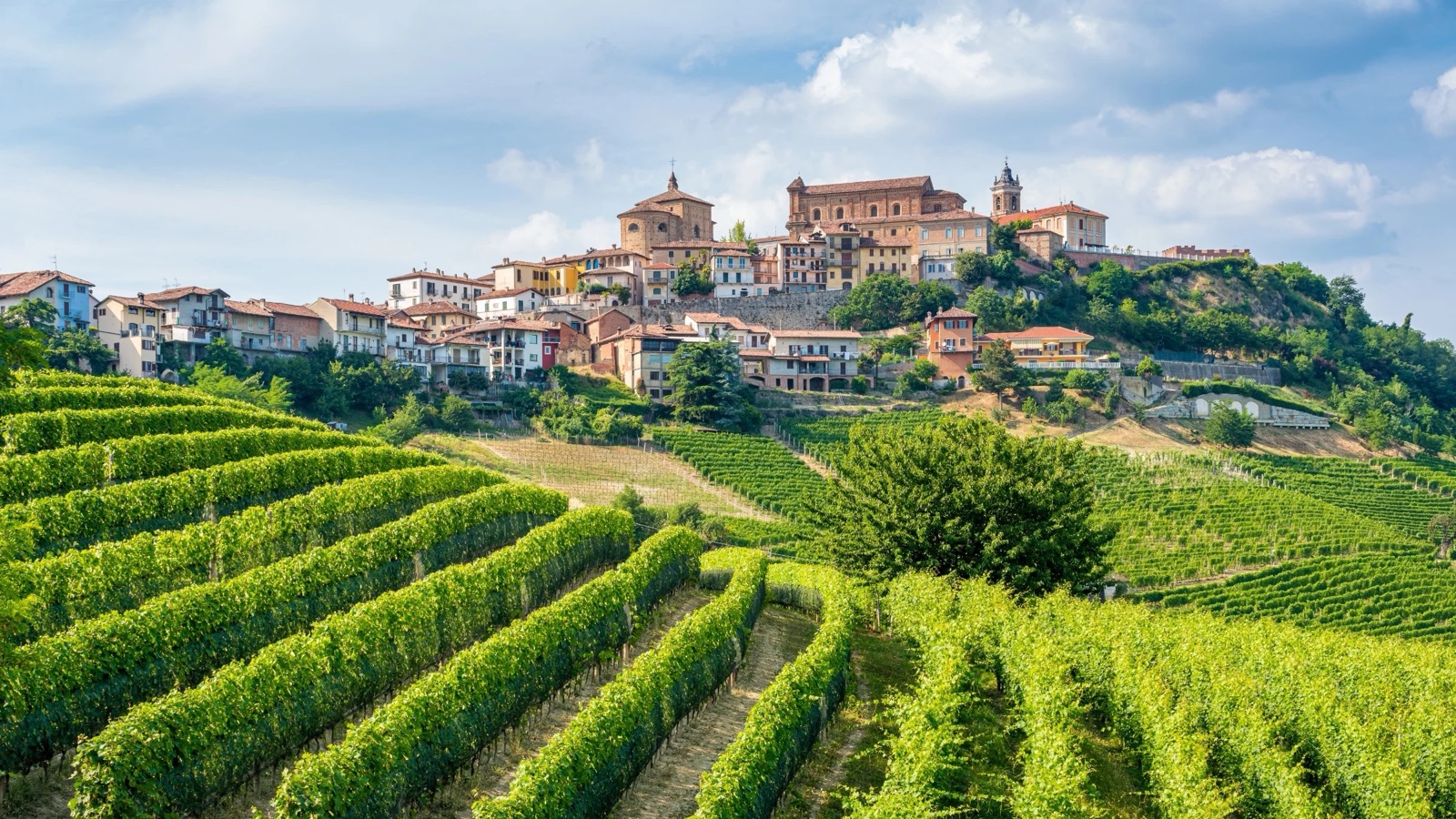 Barolo