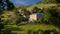Pooley Wines