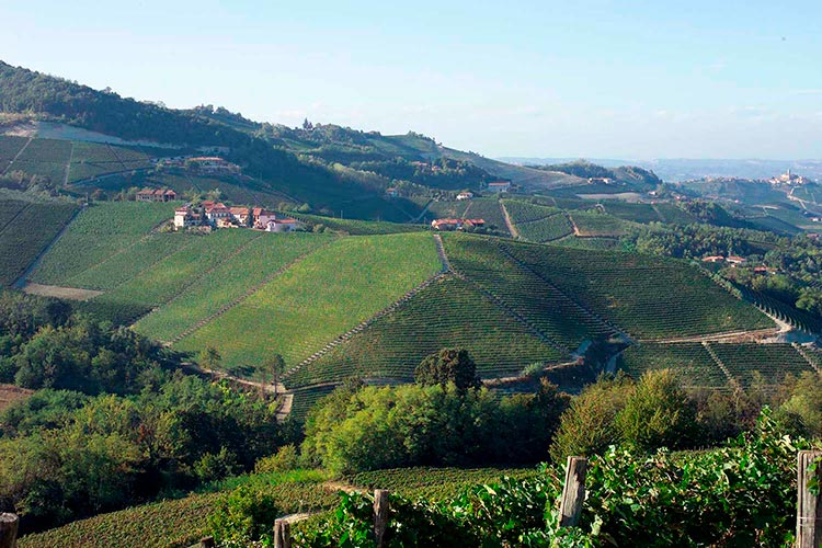 Conterno