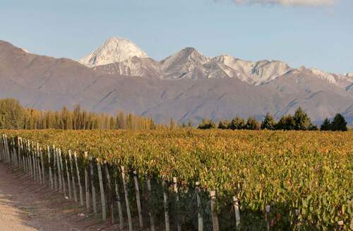 Alamos Wines (Bodegas Esmeralda S.A.)