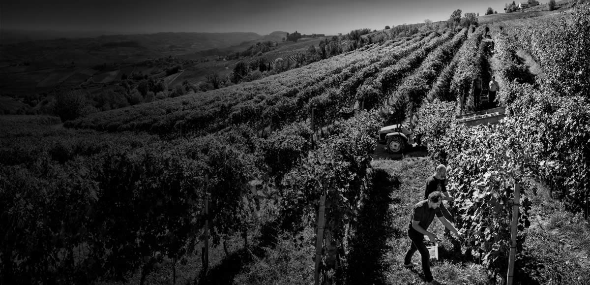 Azienda Agricola Enzo Boglietti