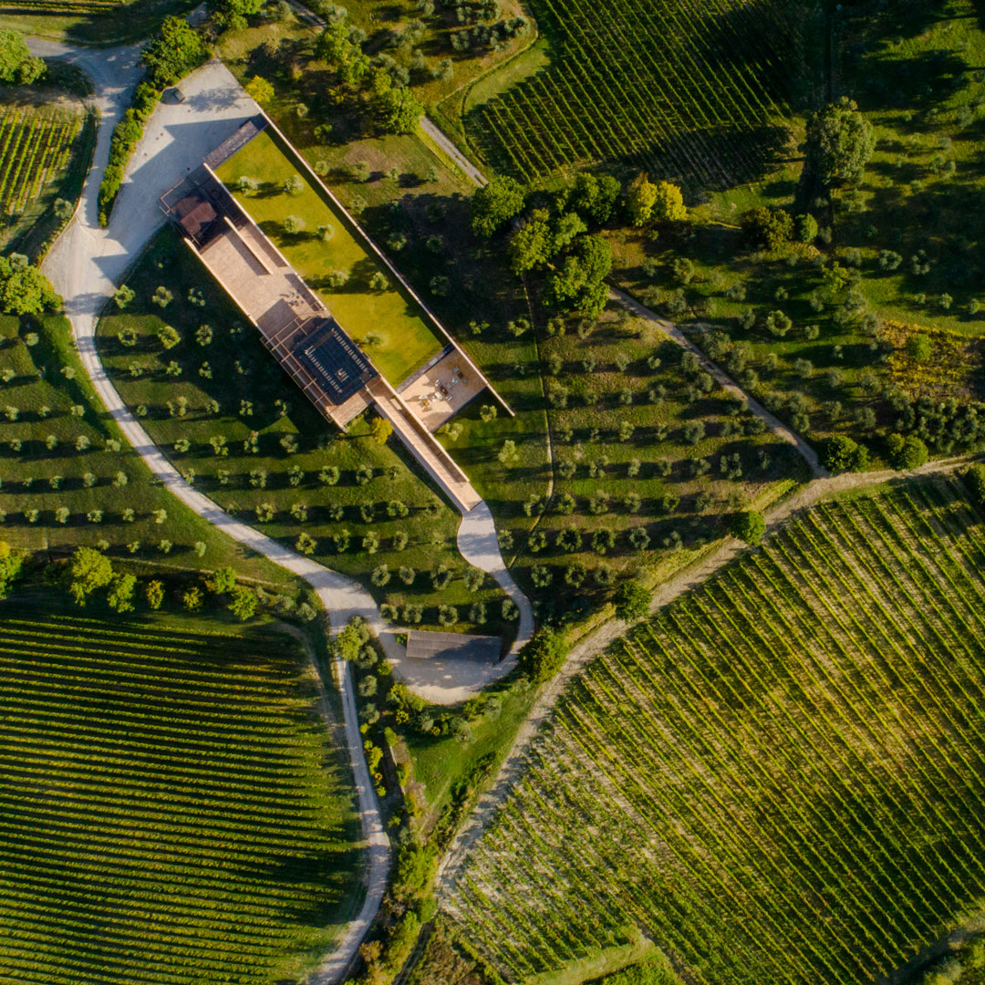 Podernuovo Srl Società Agricola
