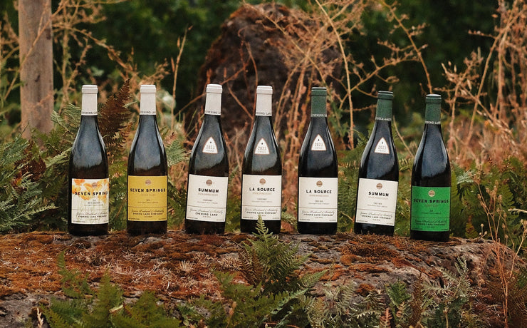 Evening Land Vineyards