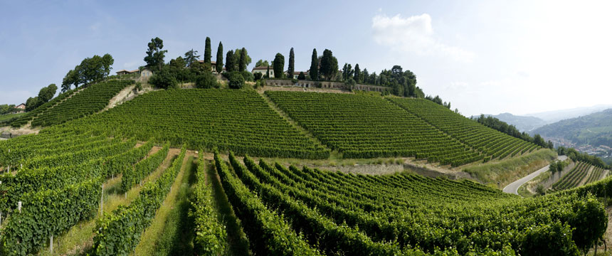 Azienda Agricola Piero Gatti