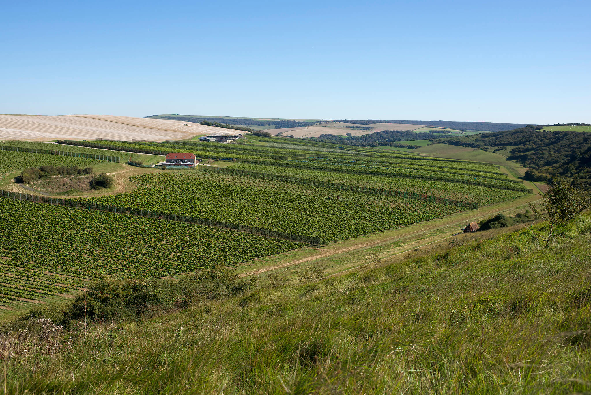 Rathfinny Wine Estate