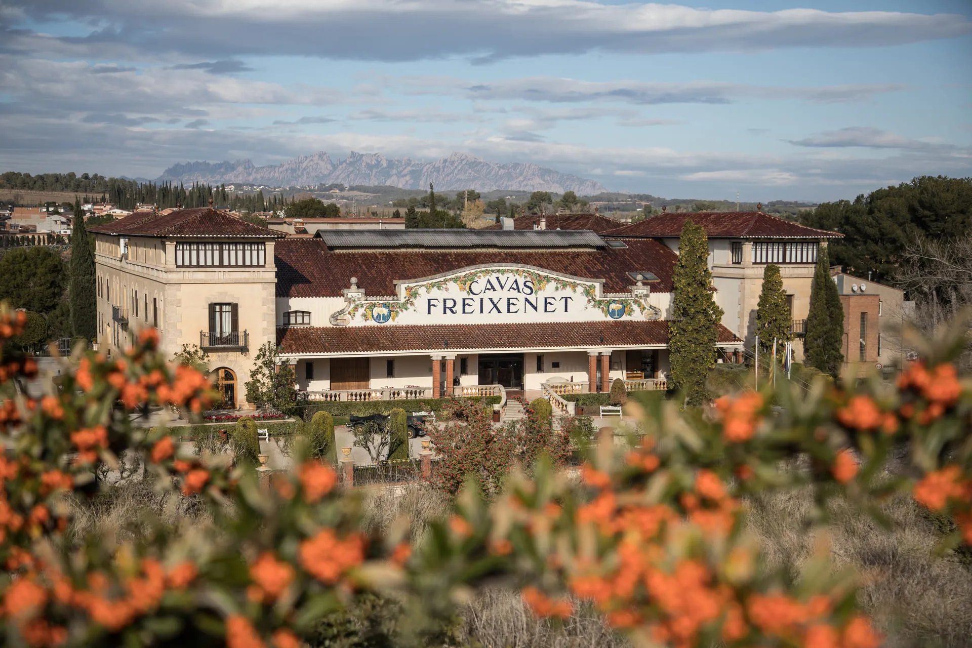 Commercial Groupo Freixenet
