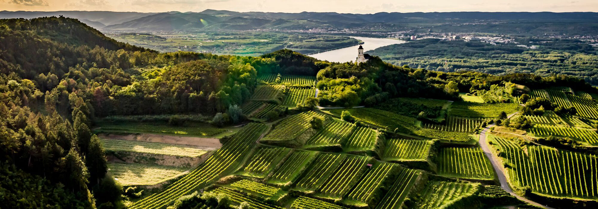 Weingut Forstreiter