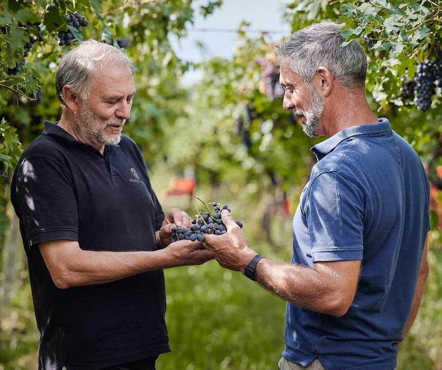 Cantina Valpolicella Negrar