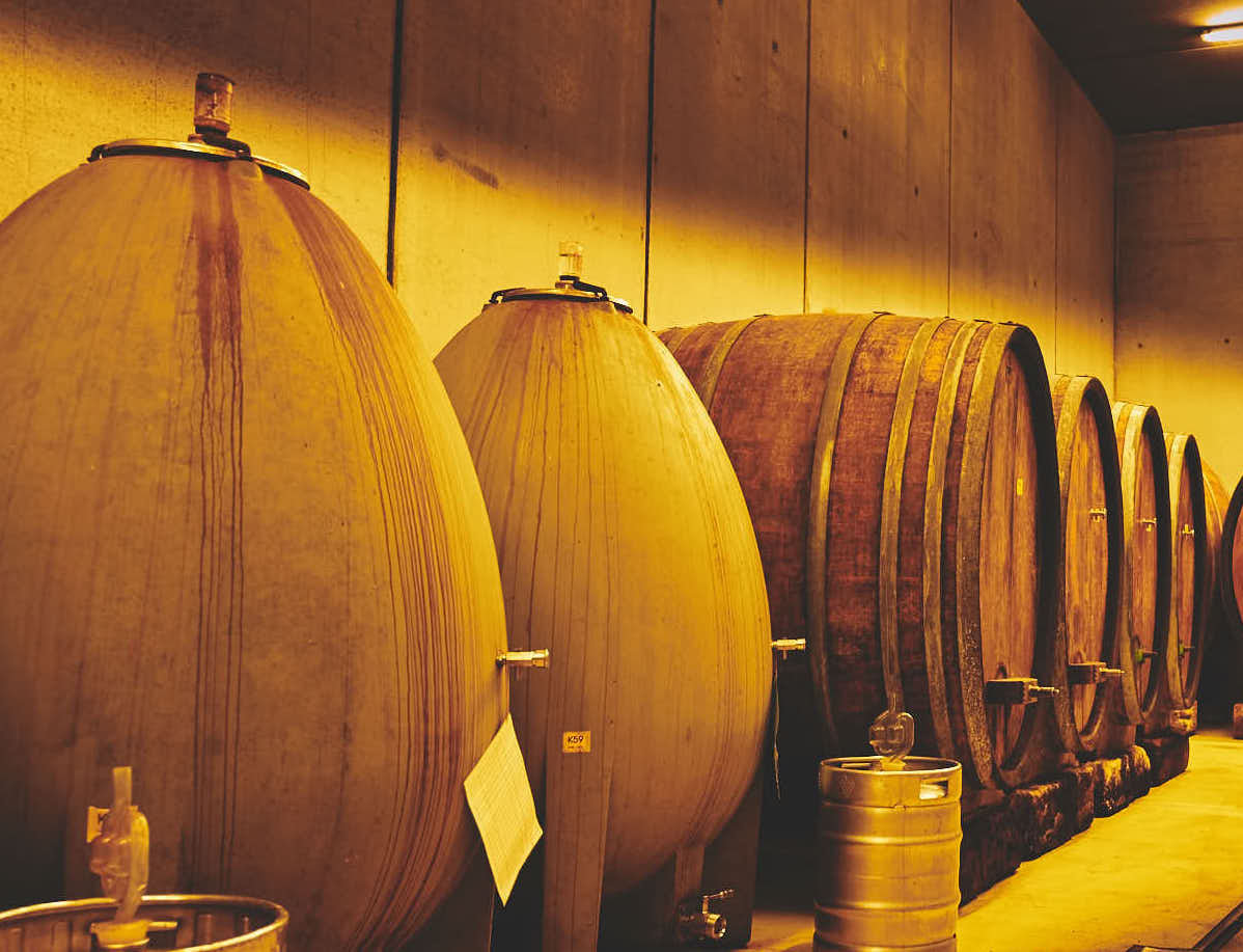 Weingut Hajszan Neumann