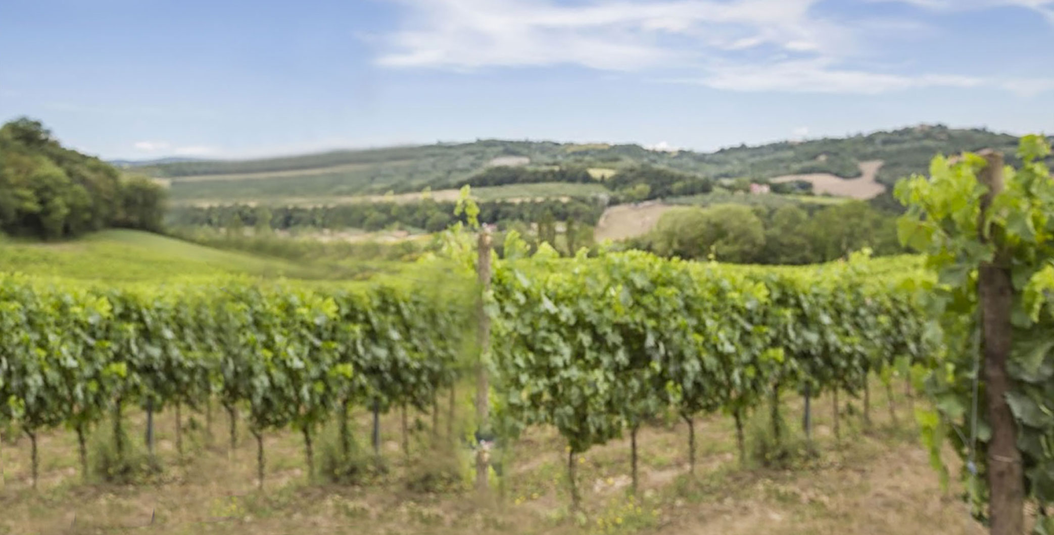società agricola Leonardo Bussoletti
