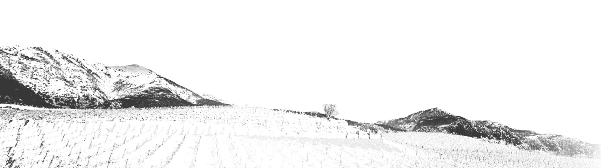 Società Agricola Grosjean Vins s.s