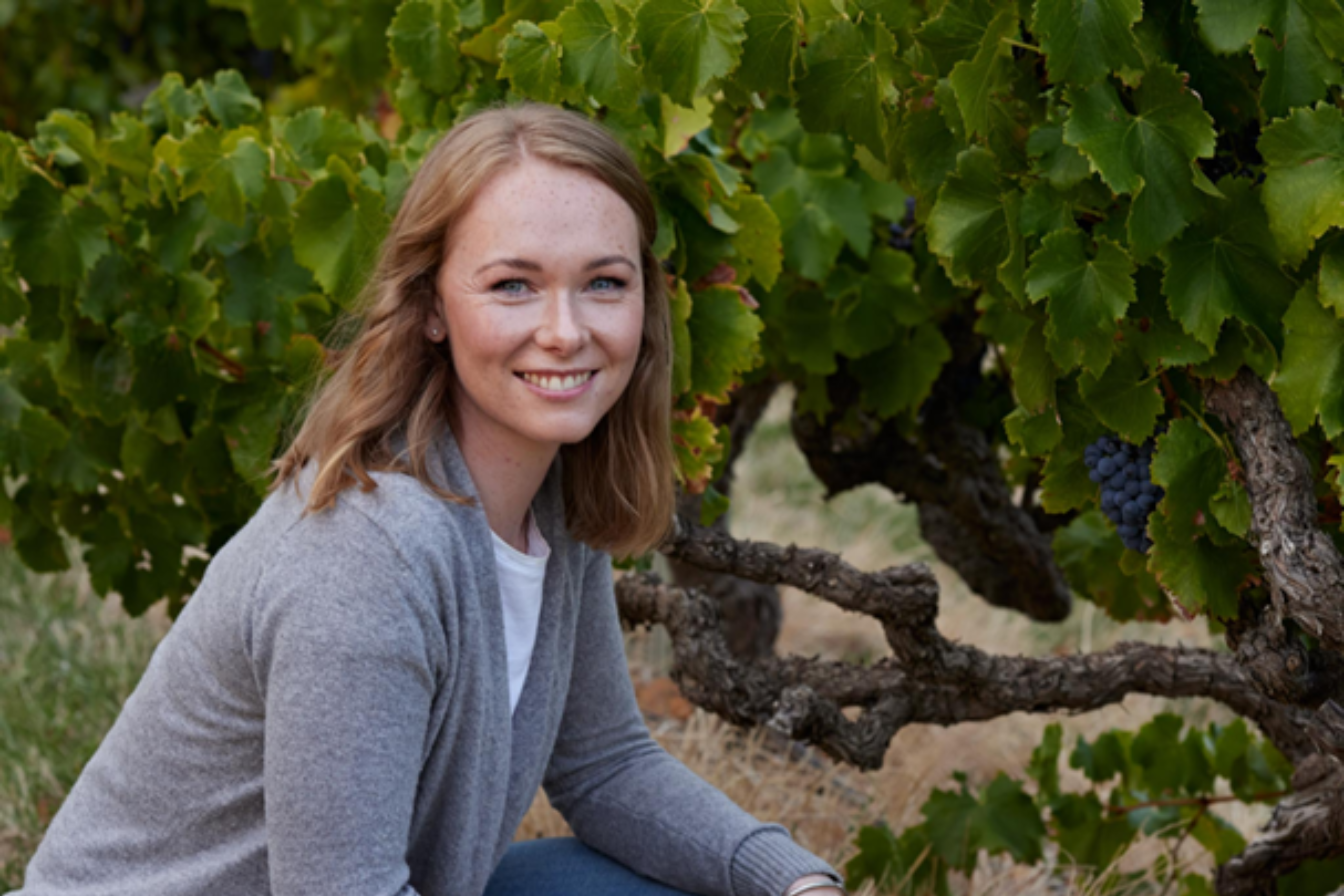 Accolade Wines Europe Trading Ltd
