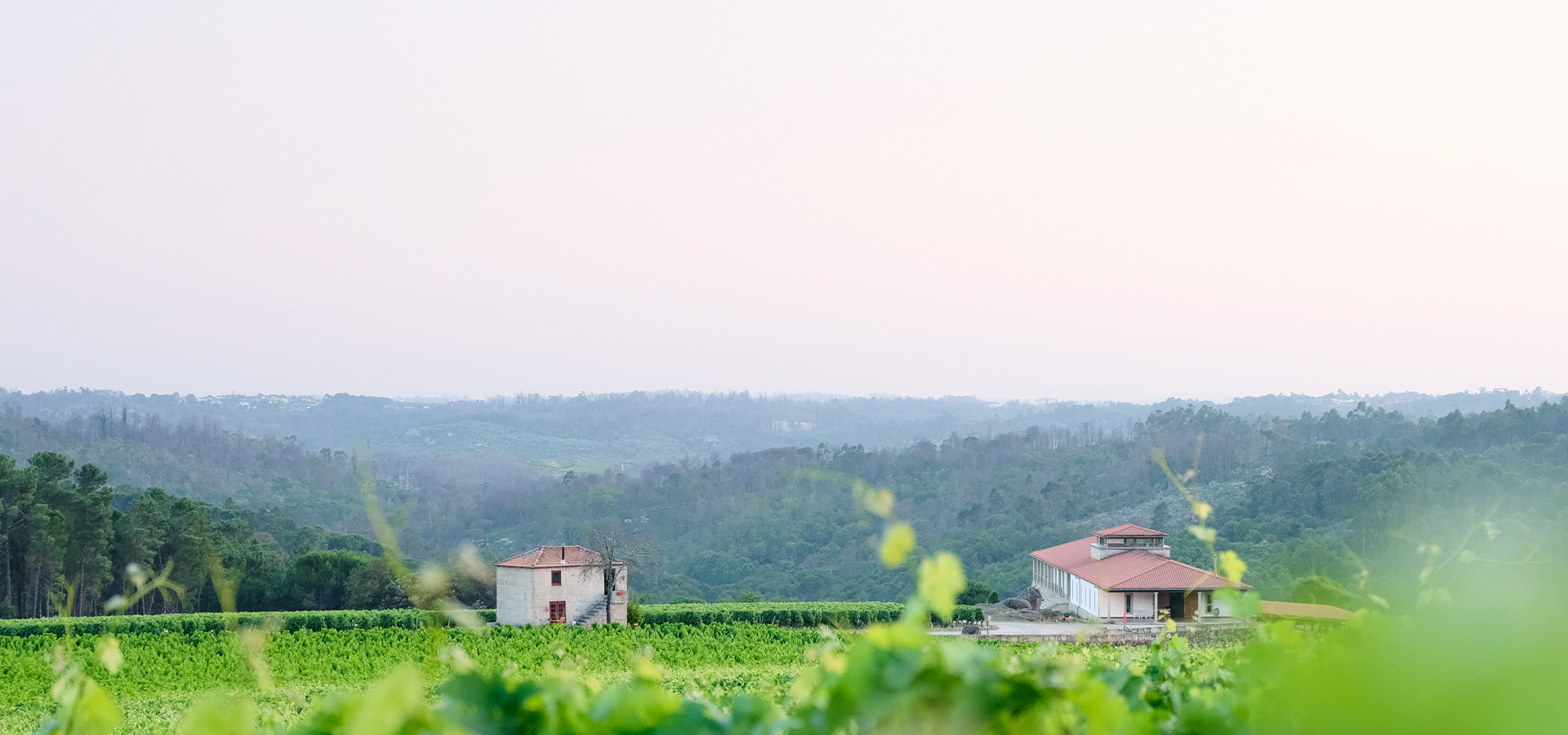 Quinta de Lemos SA