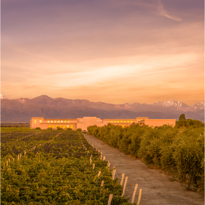 Rutini Wines