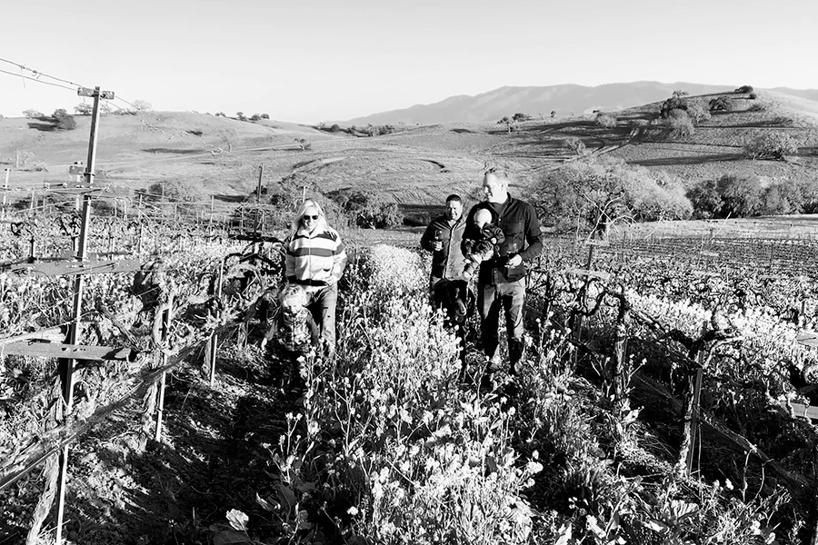 Stolpman Vineyards