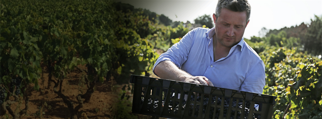 Orion Wines
