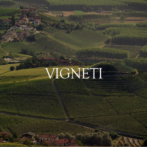 Poderi e Cantine Oddero