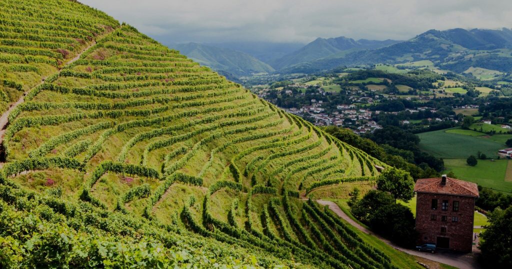 Domaine du Cros