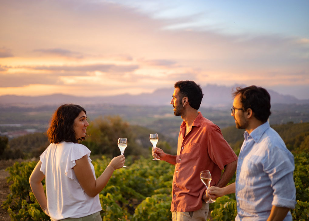 Llopart Cava