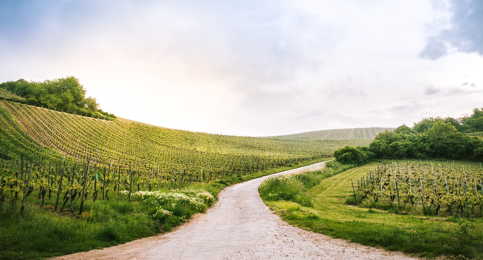 Weinkellerei Nahetal