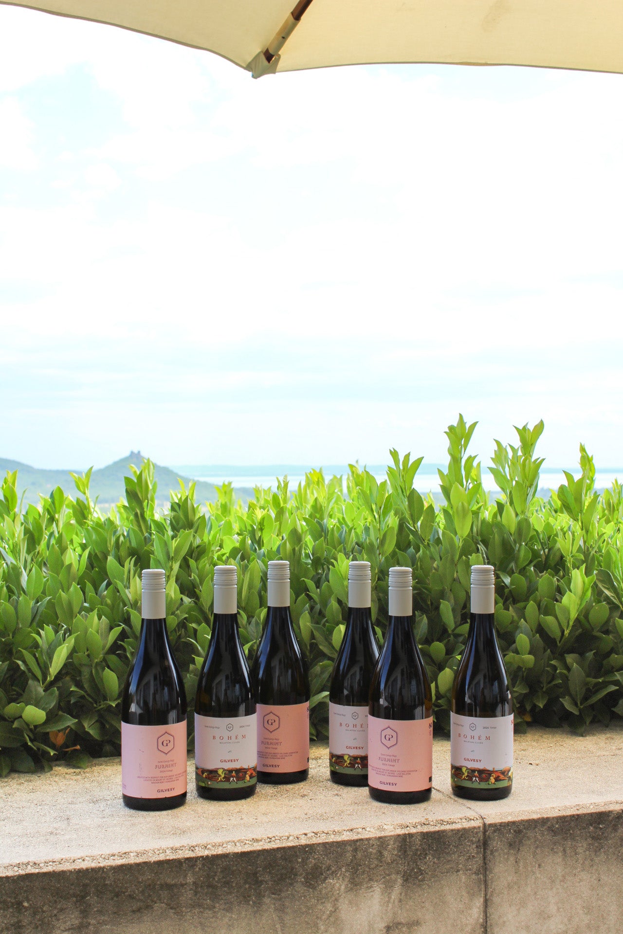 Gilvesy Winery