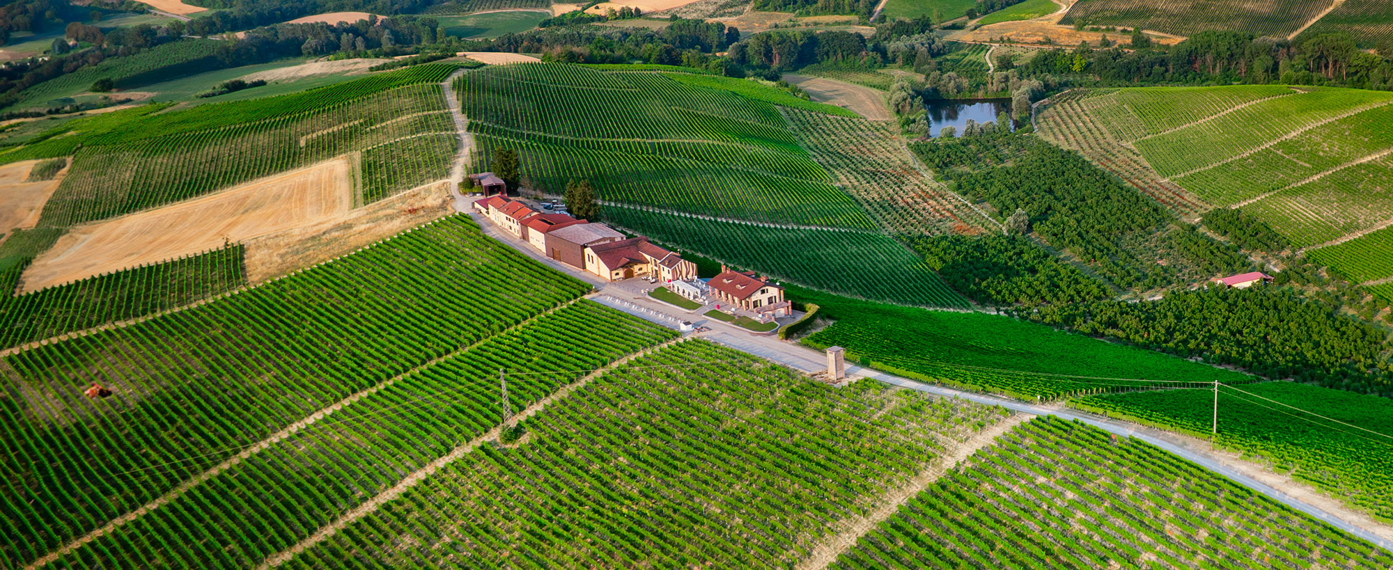 Società Agricola Montalbera