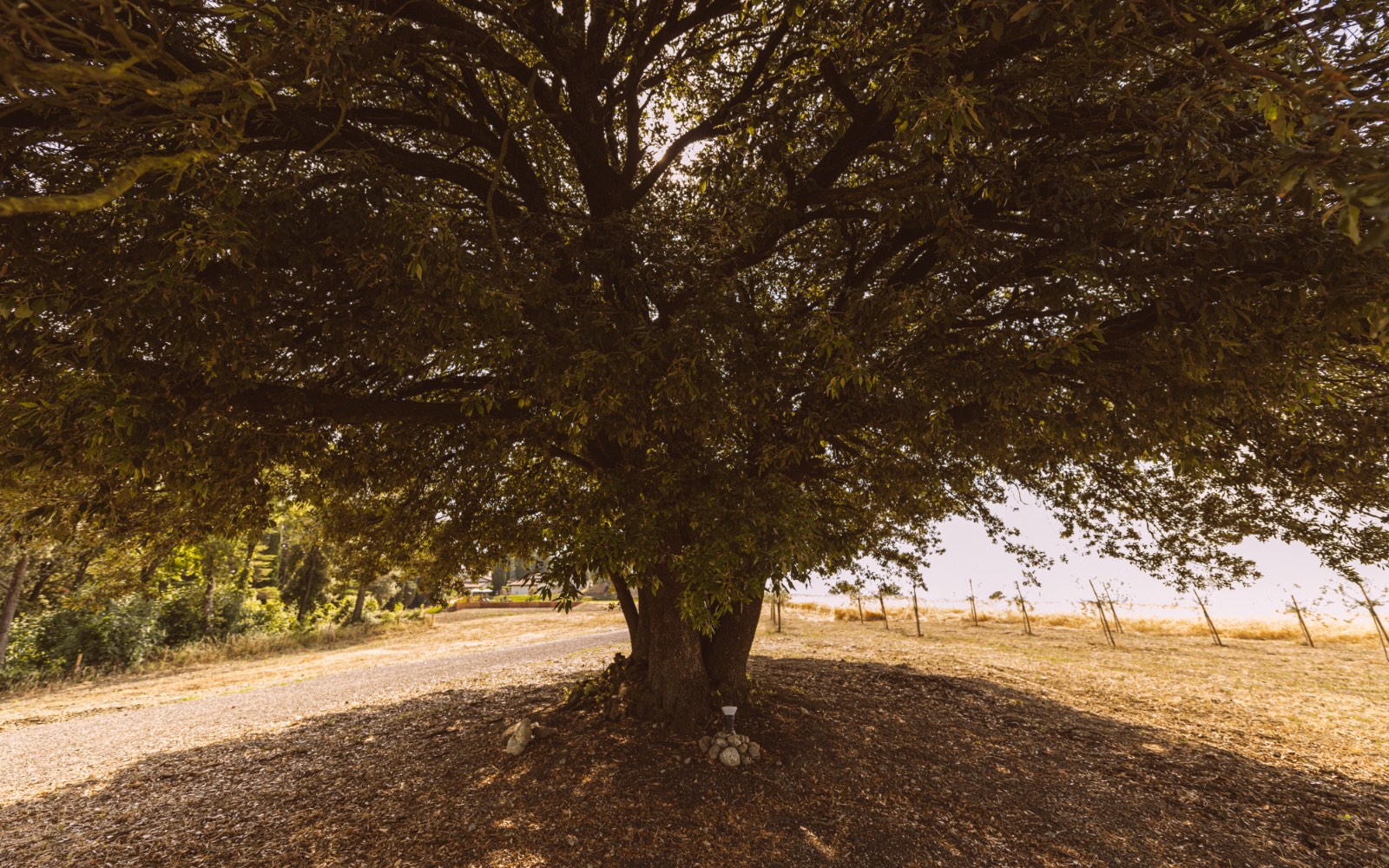 Le Colline Srl