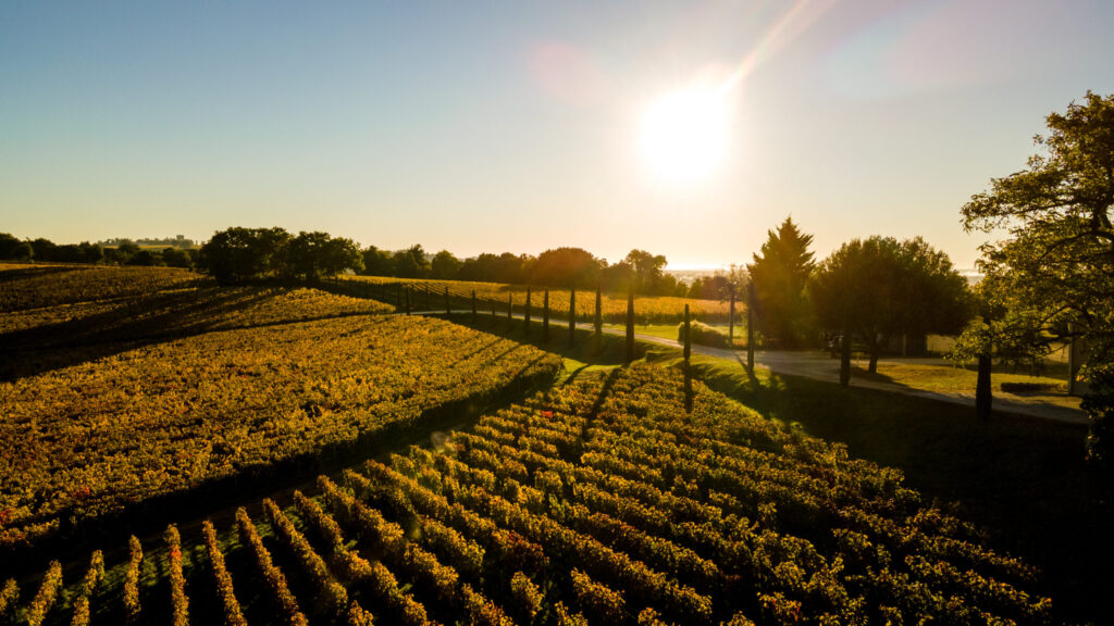Clarence Dillon Wines