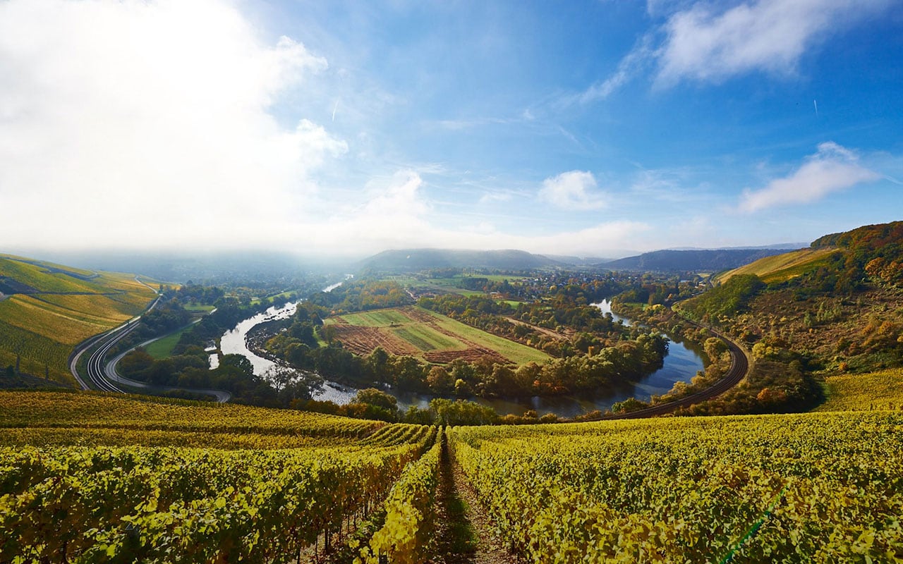 Weingut Van Volxem