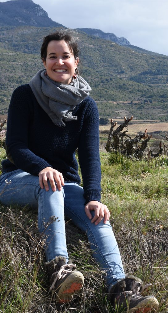 Sierra de Toloño