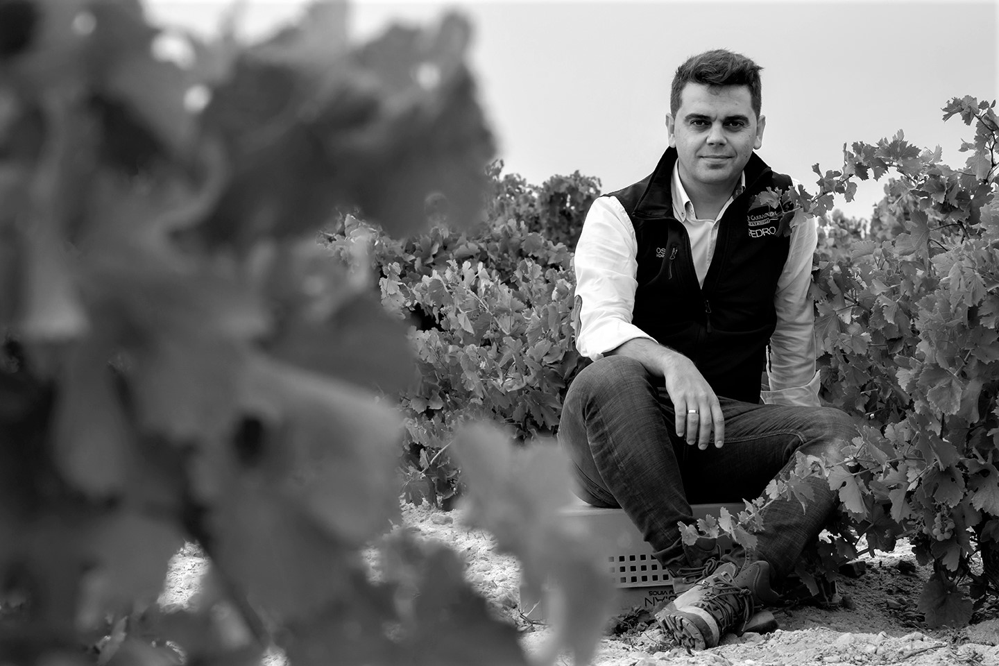 Ossian Vides y Vinos S.L.