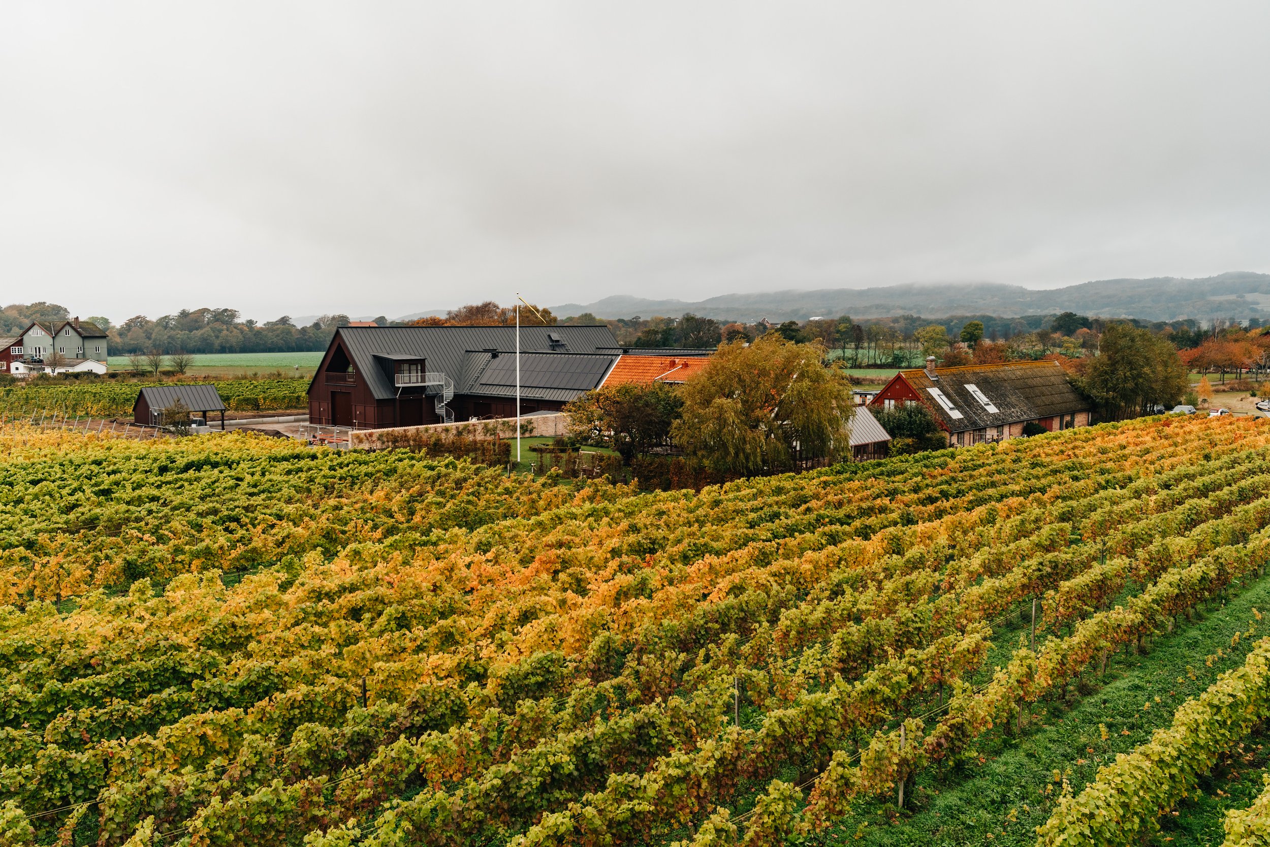 Kullabergs Vingård