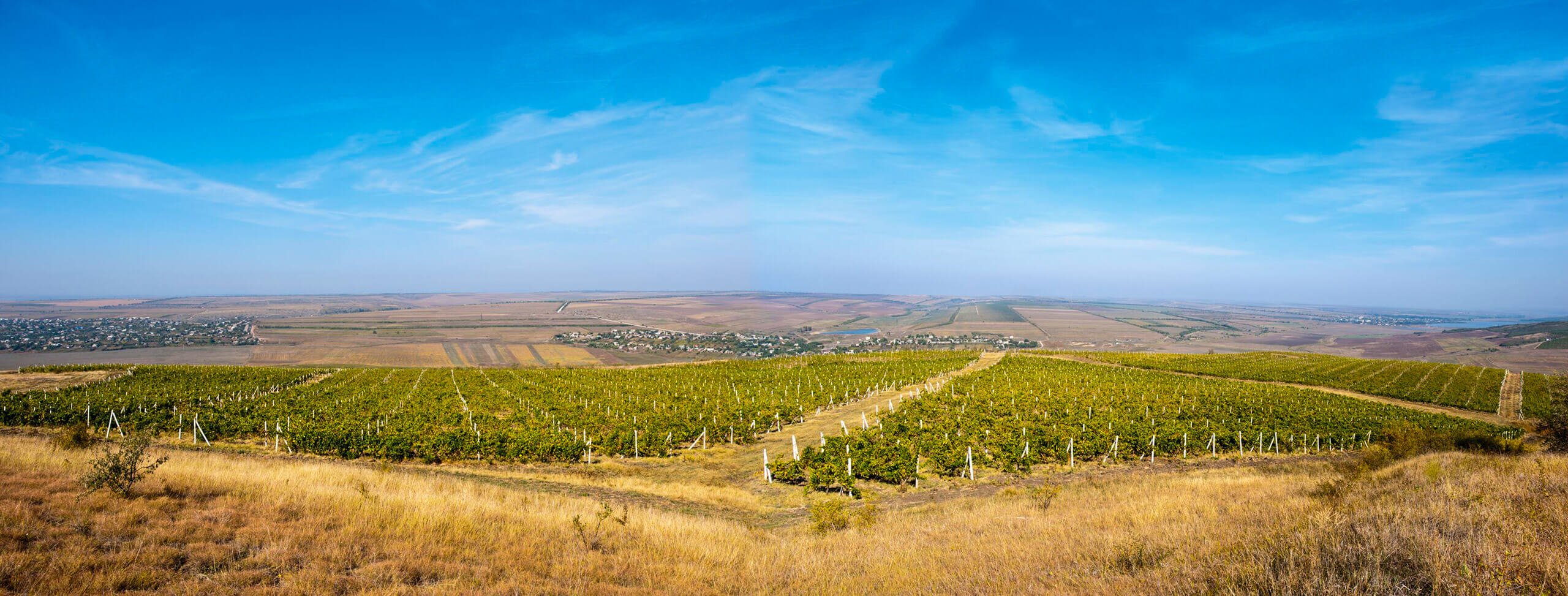 Vinaria Tiganca SRL