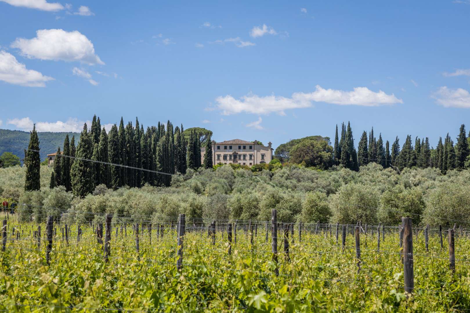 Tenuta San Jacopo