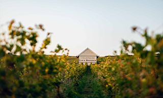Louis Roederer