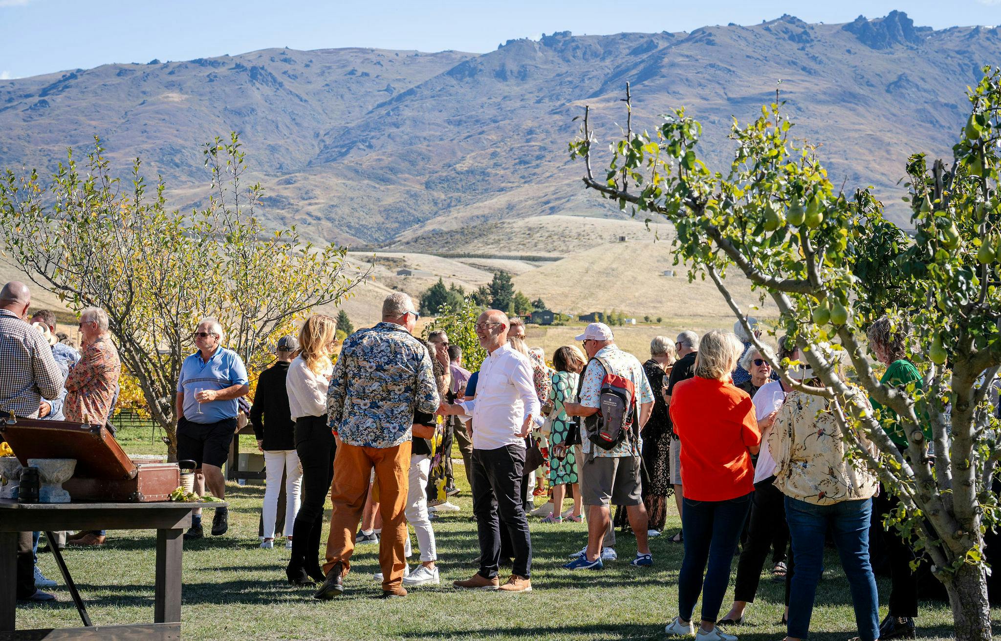 Mora Wines