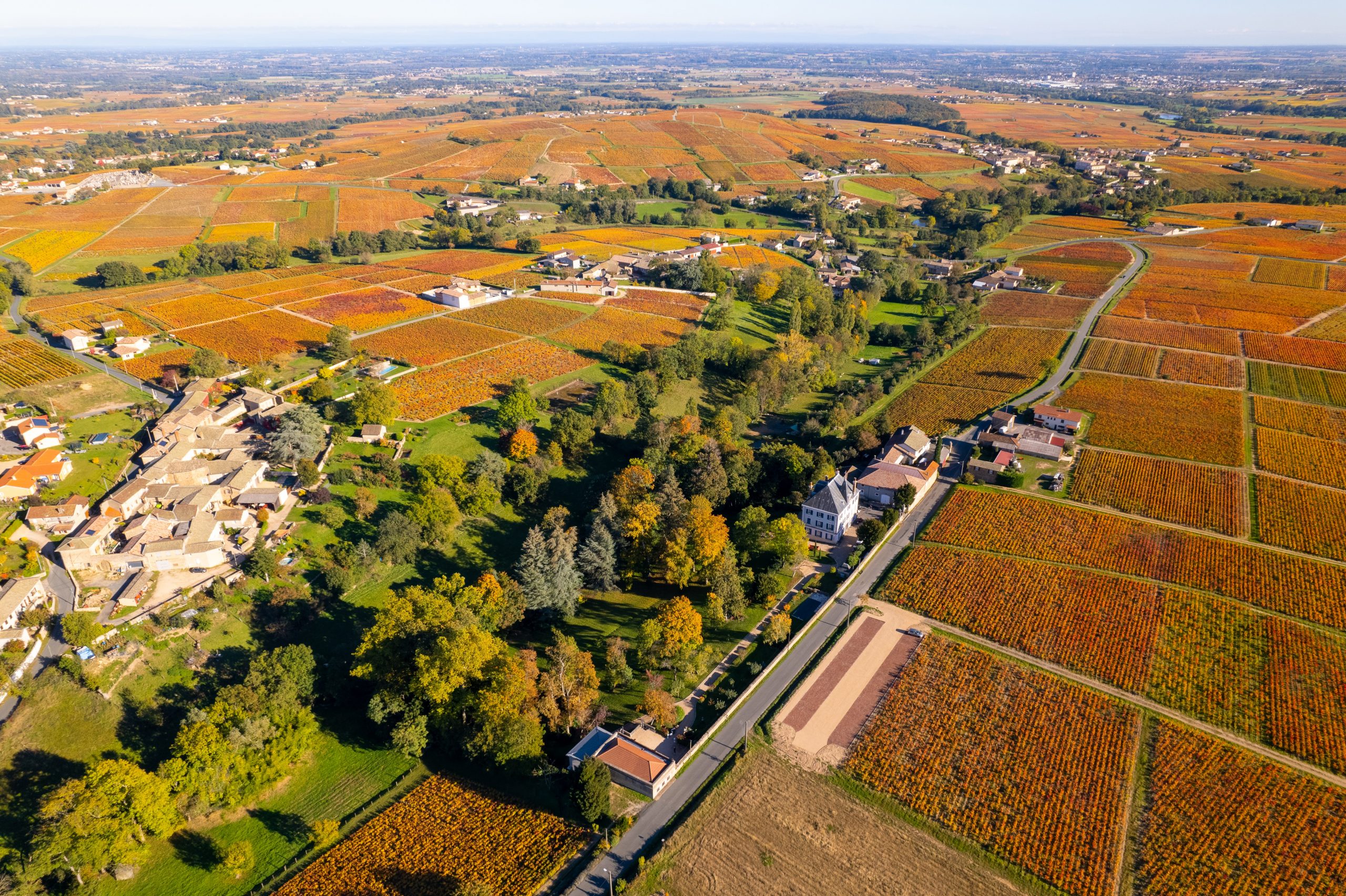 Chateau Grange Cochard