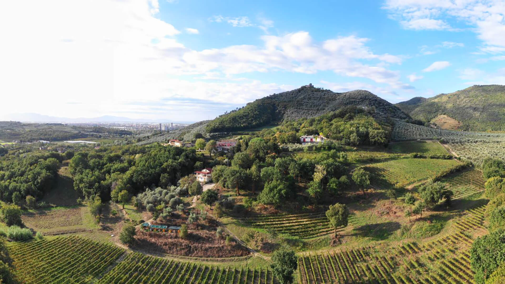 Montevetrano