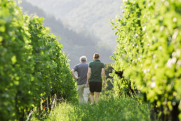 Weingut Veyder-Malberg