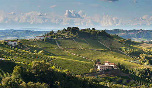 Fields Wine Co