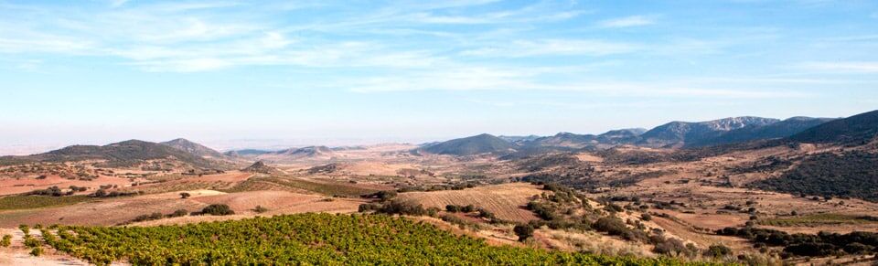 Bodegas Alto Moncayo