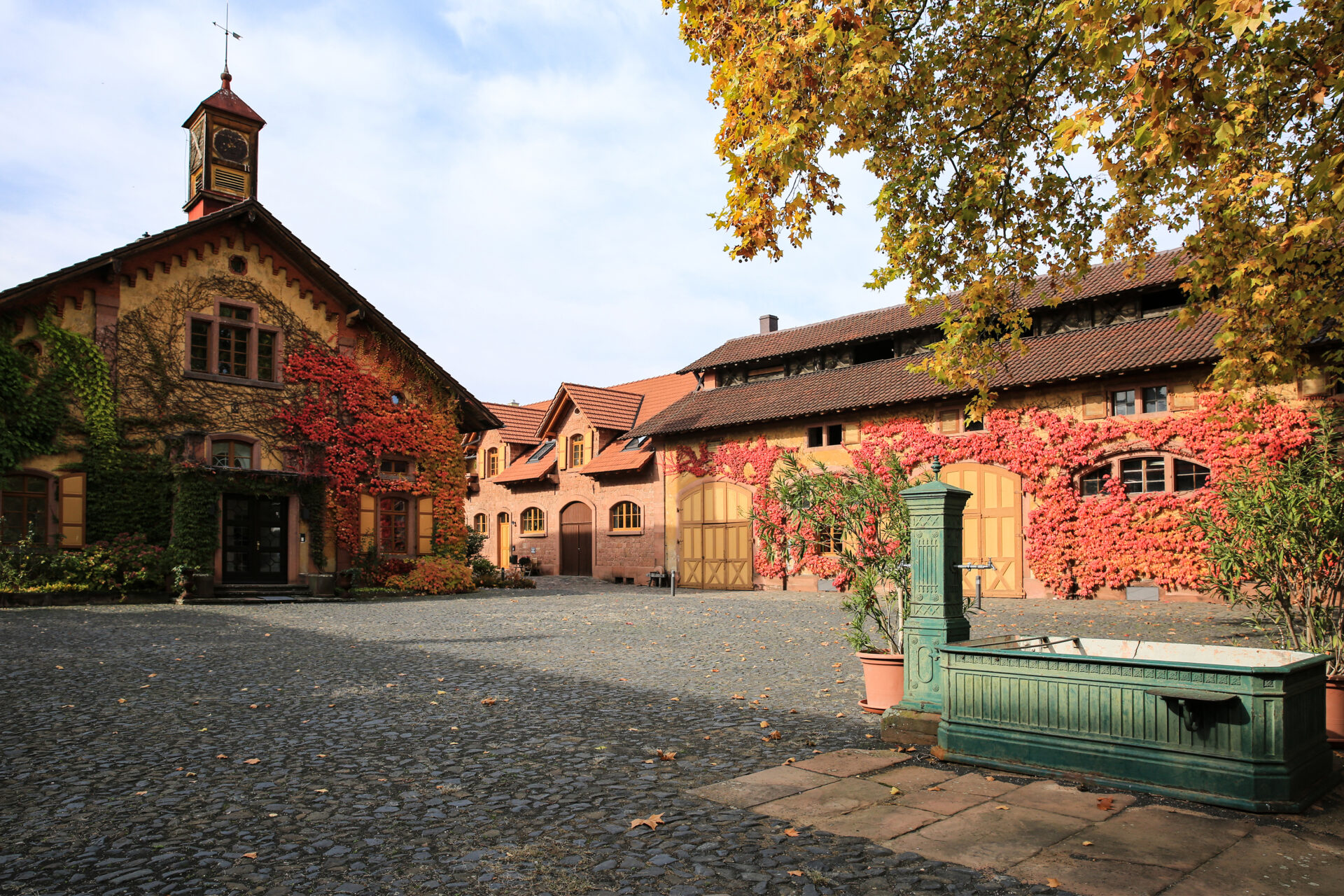 Villa Wolf