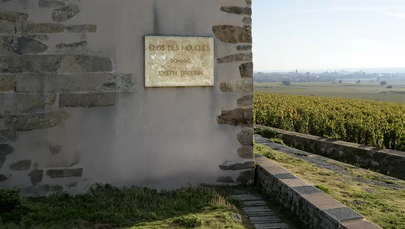 Domaine Comte Georges de Vogüé