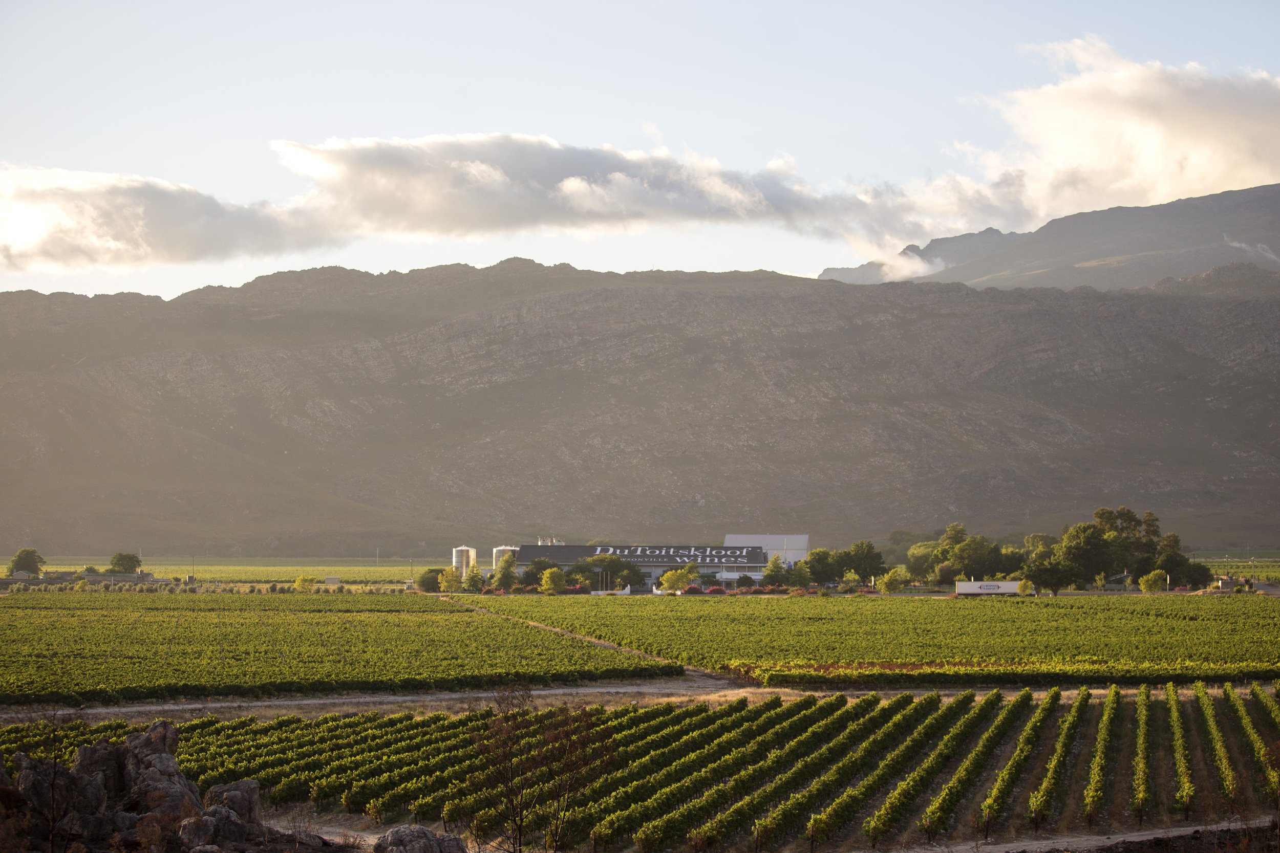 Du Toitskloof Cellar