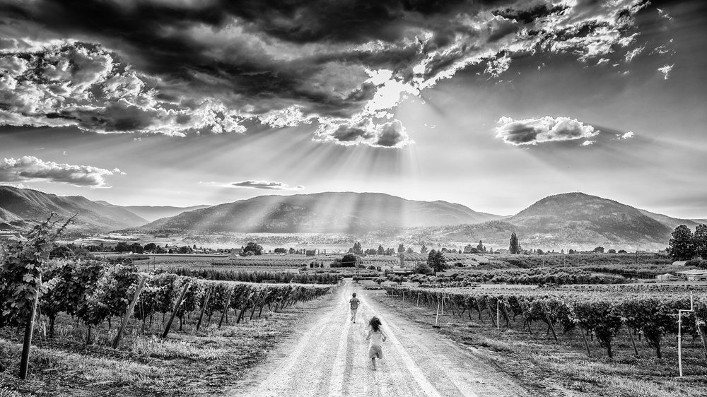 Domaine Roche
