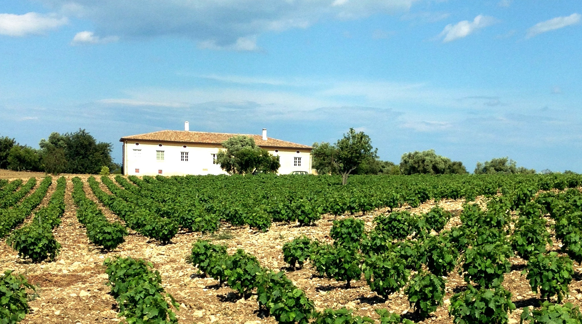 Vinding Montecarrubo