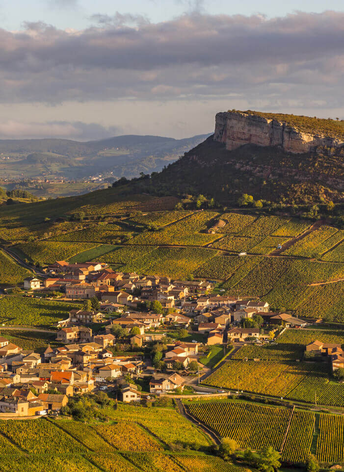 Vignerons des Terres Secrètes