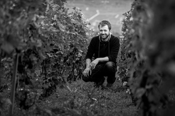 Domaine Pfister