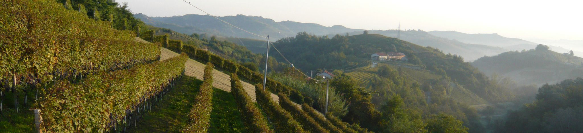 Azienda Agricola Nizza Silvano