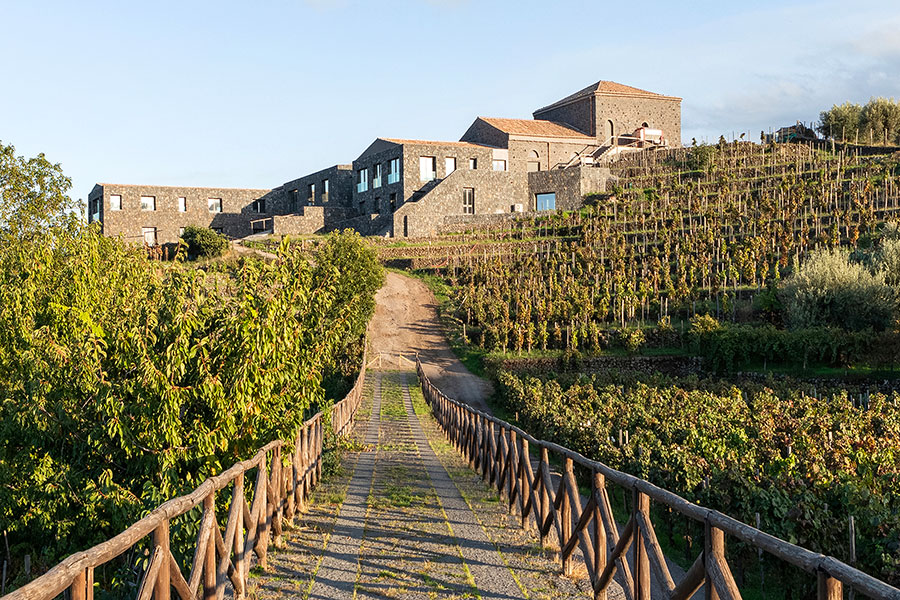 Palmento Costanzo SRL
